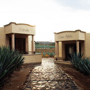 Museo La Cofradia